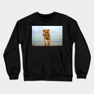 Young Lion Crewneck Sweatshirt